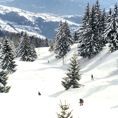 Woodland Village Resort Anzère Ayent Extérieur photo